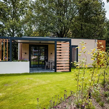 In Veluwe Near Nature Reserve