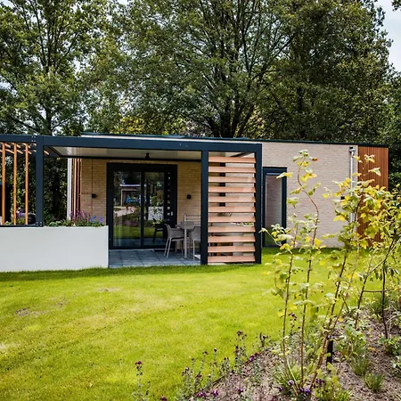 In With Terrace