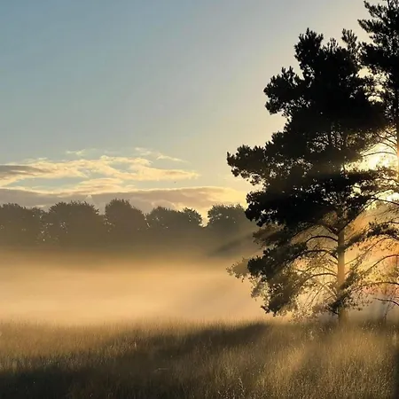 Σπίτι διακοπών In Veluwe Near Nature Reserve *