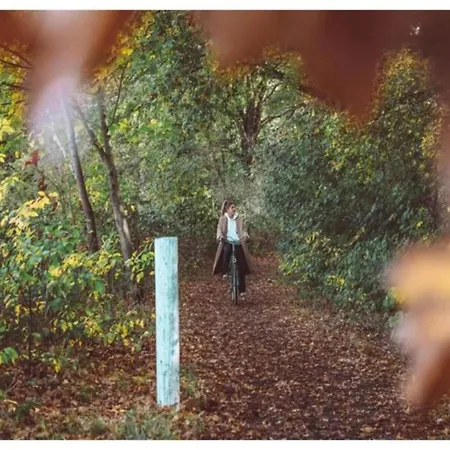 In Veluwe Near Nature Reserve * Voorthuizen