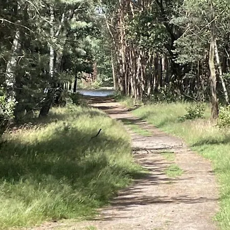 Σπίτι διακοπών In Veluwe Near Nature Reserve Voorthuizen
