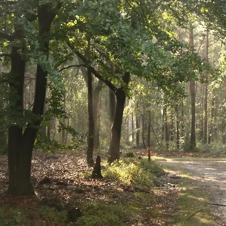 In Veluwe Near Nature Reserve Σπίτι διακοπών Voorthuizen