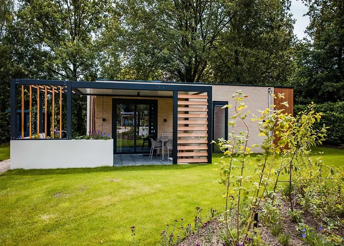 In Veluwe Near Nature Reserve