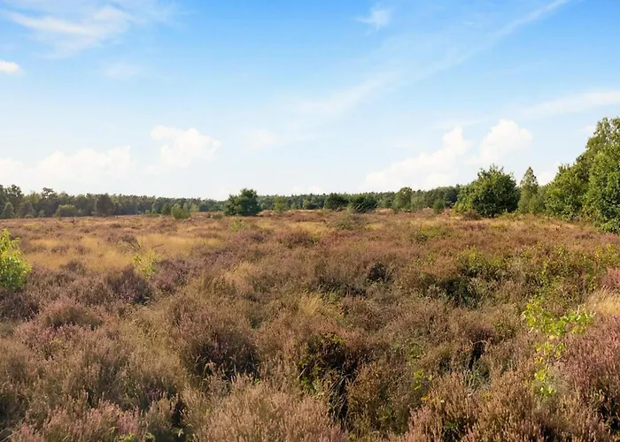 Dom wakacyjny In Veluwe Near Nature Reserve *