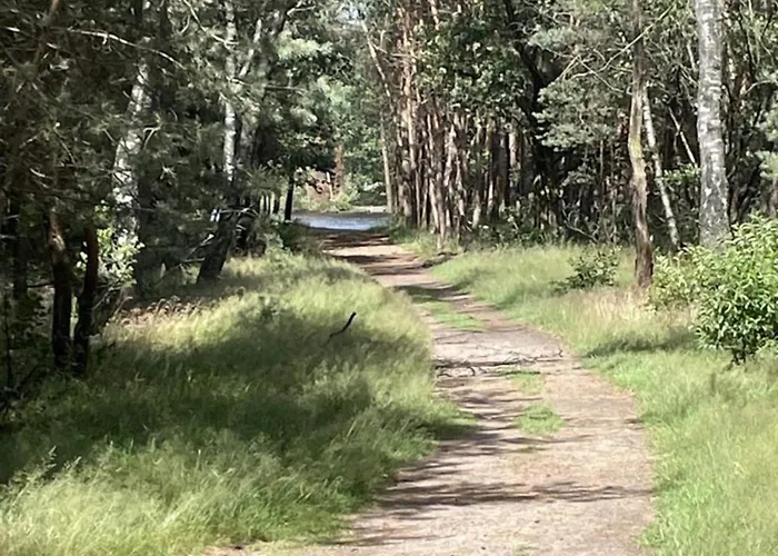 Dom wakacyjny In Veluwe Near Nature Reserve Voorthuizen