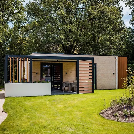 In Veluwe Near Nature Reserve