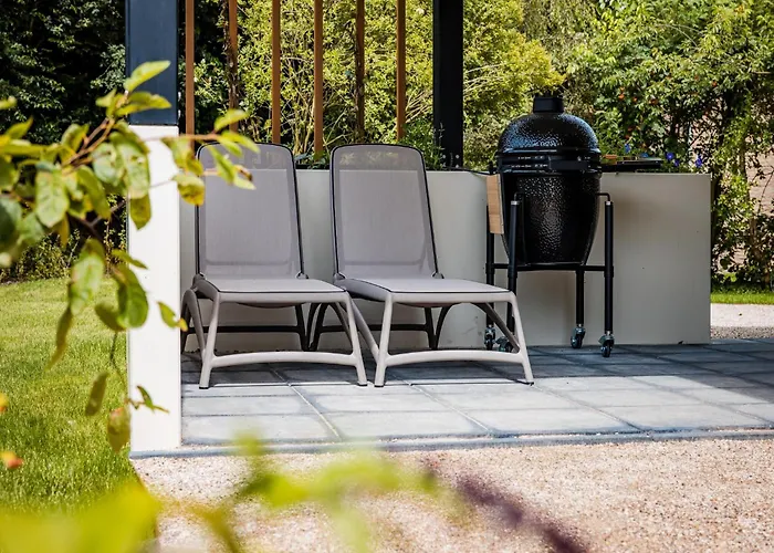 In Veluwe Near Nature Reserve *