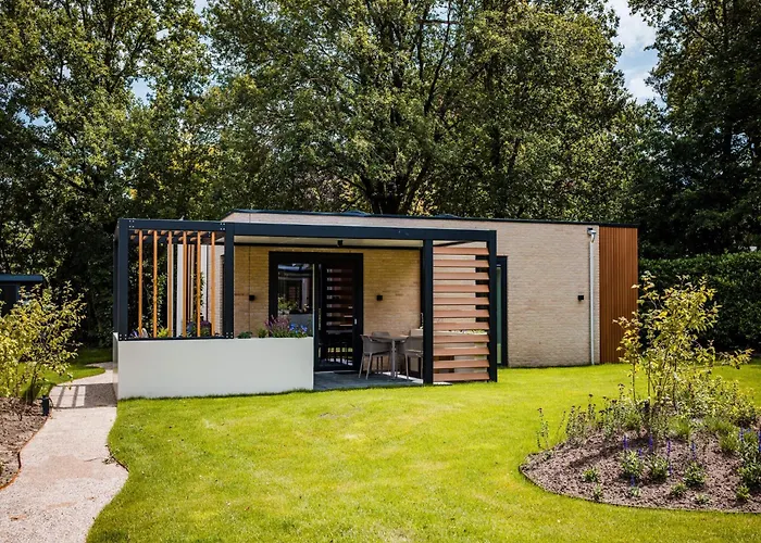 In Veluwe Near Nature Reserve