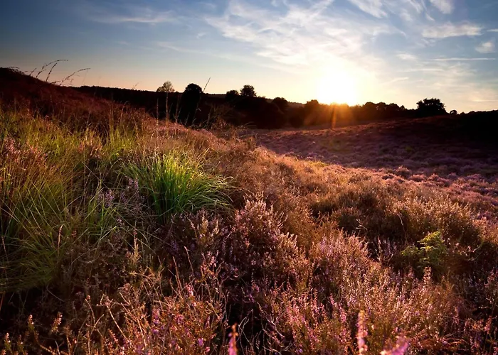 In Veluwe Near Nature Reserve Tatil Evi