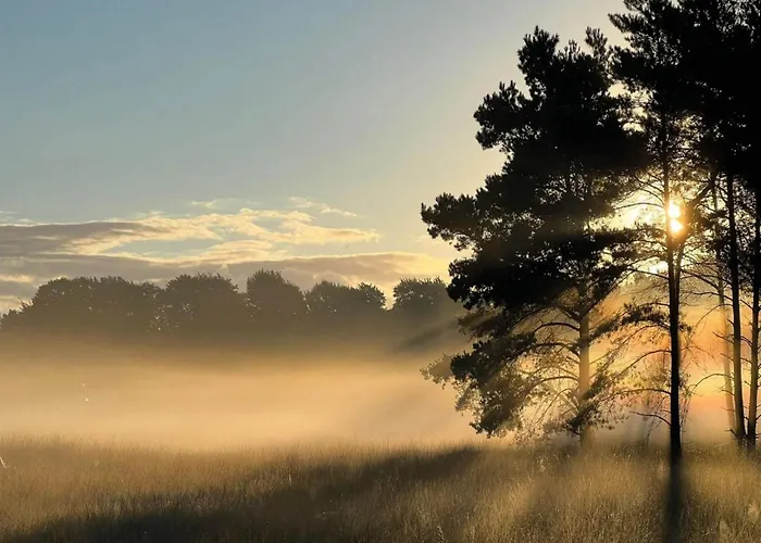 Tatil Evi In Veluwe Near Nature Reserve *