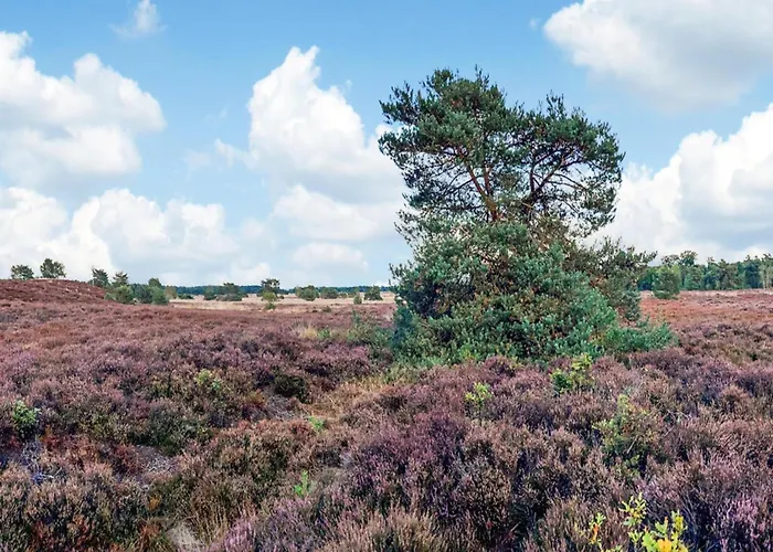 In Veluwe Near Nature Reserve Tatil Evi Voorthuizen