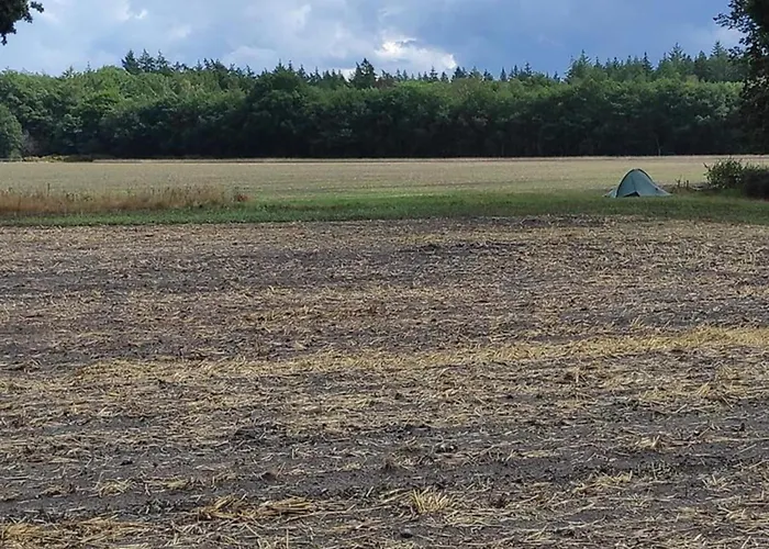 In Veluwe Near Nature Reserve * Voorthuizen